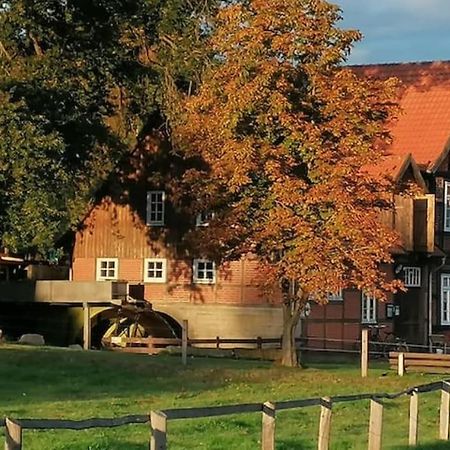 Villa Bruchmuehlen Bruchhausen-Vilsen Esterno foto